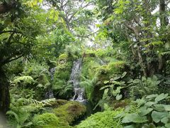 -Chom Cafe and Restaurant