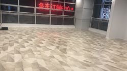 -单色舞蹈