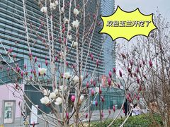 -大族广场Mall&More