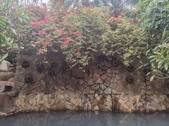 -厦门日月谷温泉渡假村