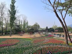 -北京植物园南门售票处