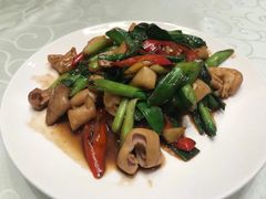 -光头匠