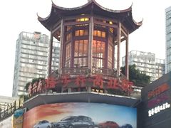 长沙臭豆腐-黑色经典臭豆腐·湖南特产(步行街店)