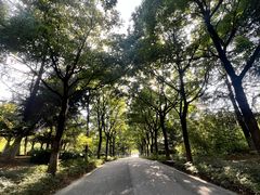 -白塘生态植物园