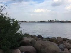 -吴淞炮台湾湿地森林公园烧烤区