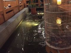 景观位-松子料理(亮马桥店)