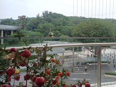 -点都德(广州白云山景区南门店)