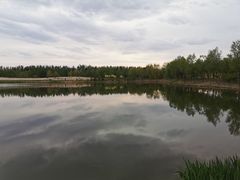 -东郊湿地公园