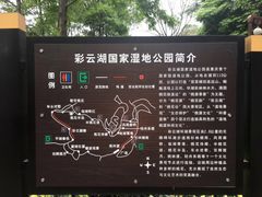 -重庆彩云湖湿地公园