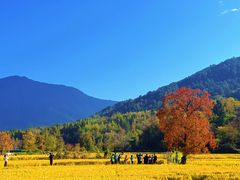 -塔川景区