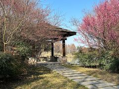 -苏州太湖国家湿地公园