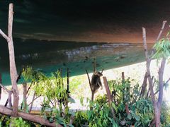 -可伦宾野生动物保护区
