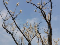 -眉山湿地公园(东坡区)