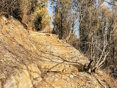 -鹫峰国家森林公园