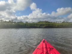 -春花秋色城市公园