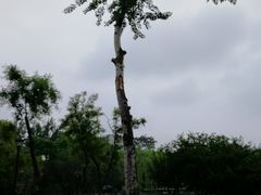 -莲湖公园