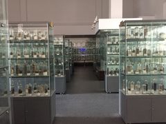 -中国药科大学（江宁校区）-图书馆