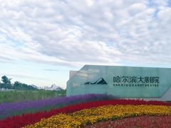 -哈尔滨大剧院