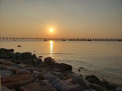 -宝安西湾红树林湿地公园