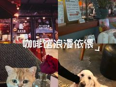 -咖法森林·咖啡  酒吧(天河店)