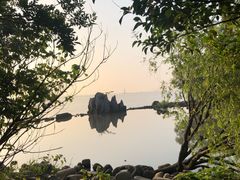 -吴淞炮台湾湿地森林公园烧烤区