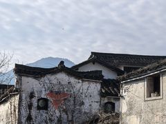 -王阿姨文昌油赞子(府桥街店)