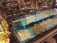 水产区-厦门艾美酒店·新食谱西餐厅