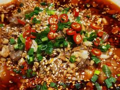 -易老妈蹄花.特色川菜(人民公园总店)