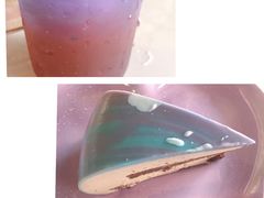 -Husky Go! 哈士奇体验馆·宠物咖啡厅狗咖