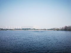 -洋湖国家湿地公园