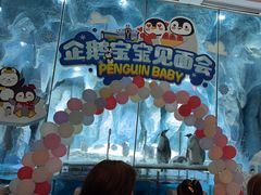 -帝企鹅自助餐厅•儿童岛•真企鹅(长隆企鹅酒店)