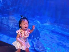 -海合安成都极地海洋公园