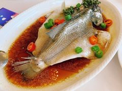 -湛江菜.江南首席(昆山店)