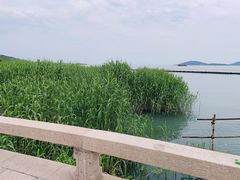 -新木器时代餐厅(太湖新天地店)