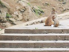 -黔灵山公园