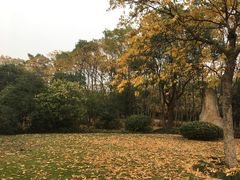 -紫金港餐饮中心-风味餐厅(浙江大学紫金港校区店)