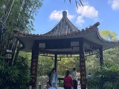 -大屏嶂森林公园
