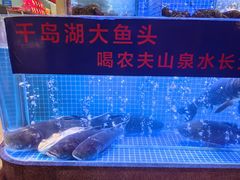 -鸽子侯·家宴·平价海鲜(绿地店)
