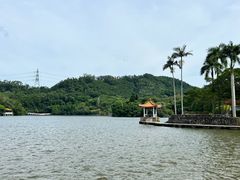 -深圳仙湖植物园