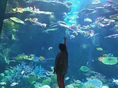 -暹罗海洋世界