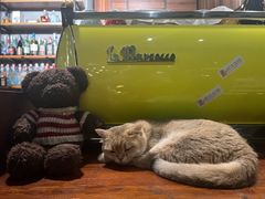 -咖法森林·咖啡  酒吧(天河店)