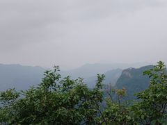 -六里坪国家森林公园