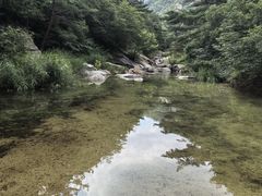 -无染寺
