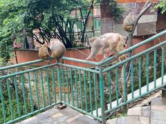 -黔灵山公园