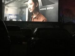 -枫花园汽车电影院(朝阳公园店)