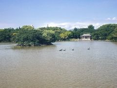 -江心屿景区