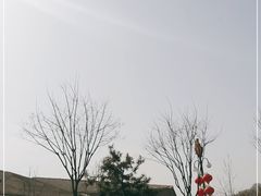 -北京周口店北京人遗址博物馆