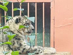 -青藏高原野生动物园