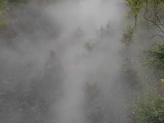 -正宗火盆自助烧烤·烤全羊·柴火鸡(龙泉山店)