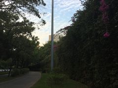 -星巴克臻选(深圳华强北茂业店)